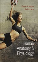 Human Anatomy & Physiology, Anatomy & Physiology Lab Manual Main Version, Interactive Physiology 10-System Suite CD-ROM Physioex 9.0