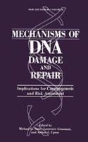 Mechanisms of DNA Damage and Repair