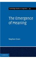 Emergence of Meaning