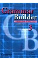 Grammar Builder Level 3 - South Asian Edition