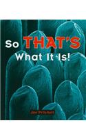 So THAT'S What It Is!: (Rigby Literacy: Level 7)