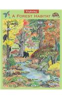 Exploring a Forest Habitat