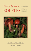 North American Boletes