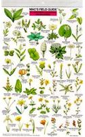 Mac's Field Guides: Northern California Wildflowers