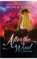 After The Wind