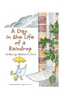 Day In The Life Of A Raindrop