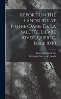 Report On the Landslide at Notre-Dame De La Salette, Lièvre River, Quebec, Issue 1030