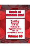 Scads of Sudoku Fun!: Triathlon! Samurai! 16X16! Sudoku-X! Hyper Sudoku! 12X12! 240 Puzzles Total!