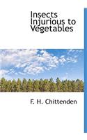 Insects Injurious to Vegetables