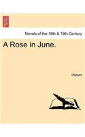 Rose in June.