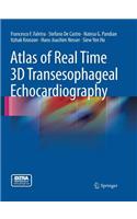 Atlas of Real Time 3D Transesophageal Echocardiography