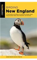 Birding New England