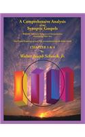 Comprehensive Analysis of the Synoptic Gospels