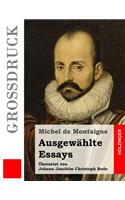 Ausgewählte Essays