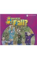 Why Is It Fall?