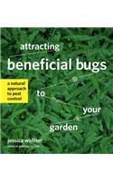 Attracting Beneficial Bugs to Your Garden