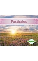 Pastizales (Grassland Biome) (Spanish Version)