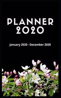 2020 Planner