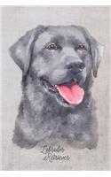 Labrador Retriever Dog Portrait Notebook