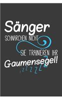 Sänger schnarchen nicht, sie trainieren ihr Gaumensegel: Jahres-Kalender für das Jahr 2020 im DinA-5 Format für Musikerinnen und Musiker Musik Terminplaner