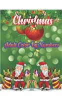 Christmas Adult Color By Numbers