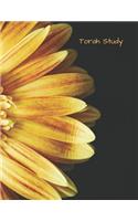 Torah Study: Sunflower