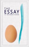 Essay