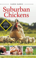 Suburban Chickens