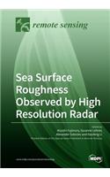 Sea Surface Roughness Observed by High Resolution Radar