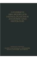 Rachen und Tonsillen; Speiseröhre; Magen und Darm; Bauchfell