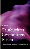 Taufeuchter Geschnittener Rasen