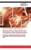 Clonación y Expresión de Proteínas Recombinantes