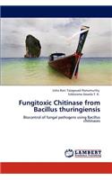 Fungitoxic Chitinase from Bacillus Thuringiensis