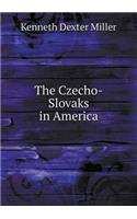 The Czecho-Slovaks in America