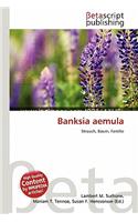 Banksia Aemula