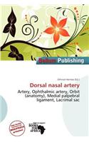 Dorsal Nasal Artery