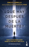 Â¿Que hay despues de la muerte?: Todo lo que debes saber sobre la vida en el mas alla