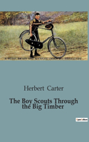 Boy Scouts Through the Big Timber
