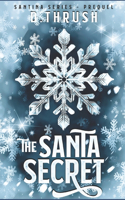 Santa Secret