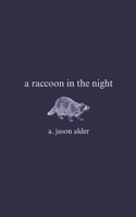 raccoon in the night