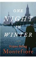 One Night in Winter