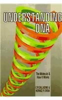Understanding DNA