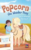Popcorn the Wonder Pony: Bookroom Package Emerald Level 25 Grades 3-4