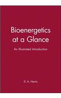 Bioenergetics at a Glance