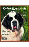 Saint Bernards