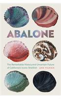 Abalone