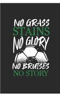 No Grass Stains No Glory