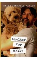 Shelter For Molly