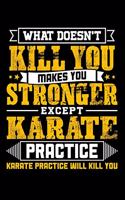 What doesn't kill you makes you stronger except Karate practice Karate practice will kill you