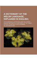 A Dictionary of the Welsh Language, Explained in English; With Numerous Illustrations, from the Literary Remains and from the Living Speech of the Cym